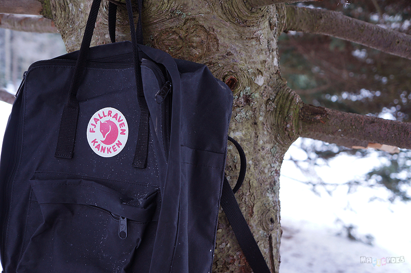 fjällravnreppu