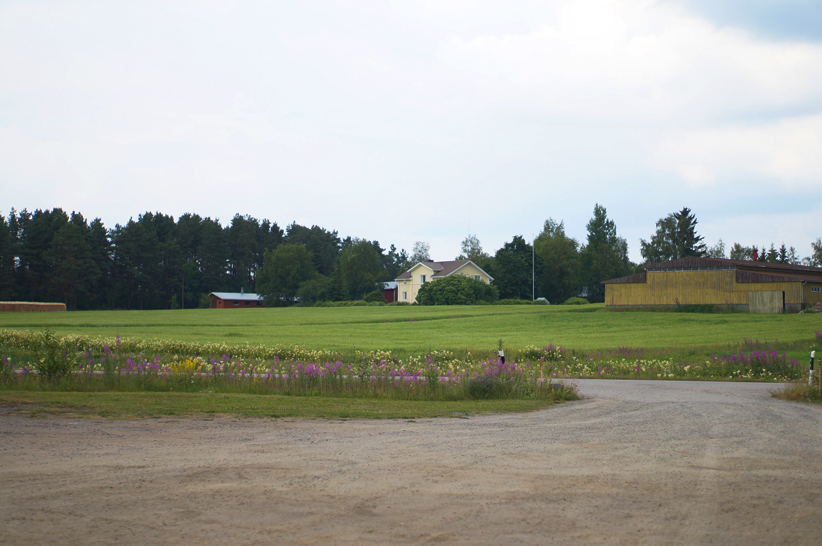 paalupaikka10