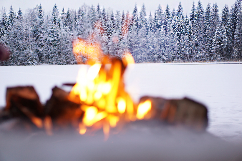 metsäretki3